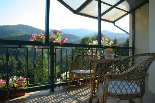 Hotel Goverla
