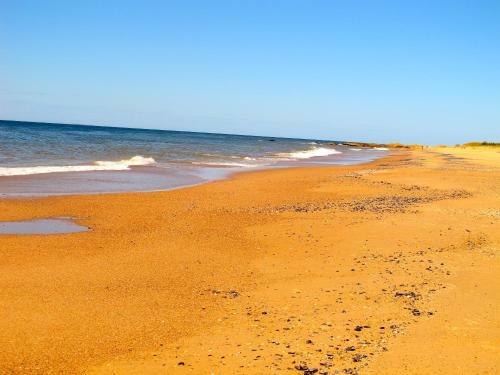 Mare Altum