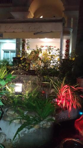 Hotel Laura Motel Vung Tau