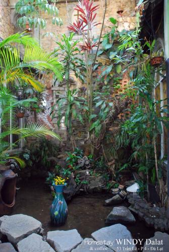 Windy Dalat