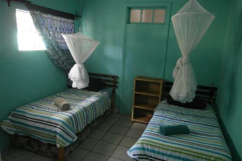 Wanderers Backpackers And Campsite