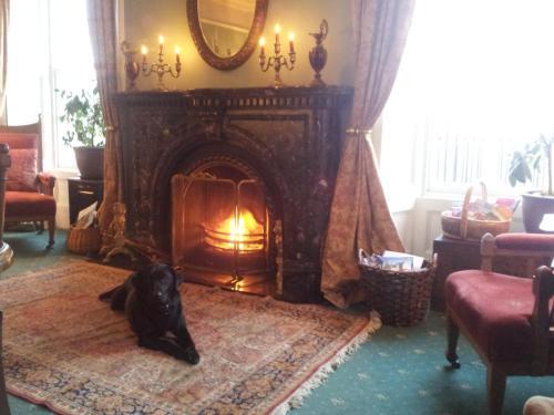 Bed & Breakfast Duncan House