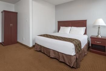 Hotel Knights Inn Toronto