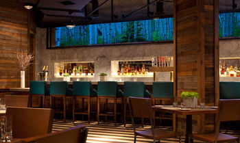 The Commons Hotel Minneapolis