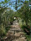Agroturismo Es Palmer Oase