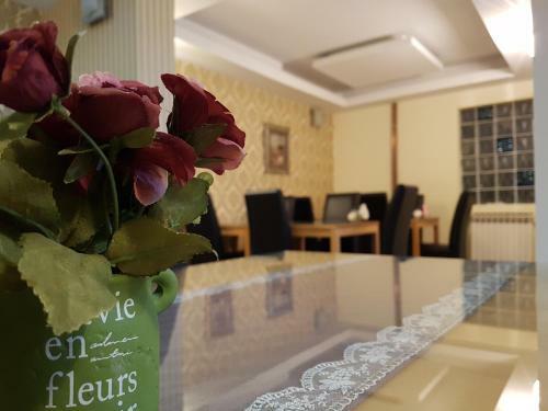 Hostal Hotel Irmak