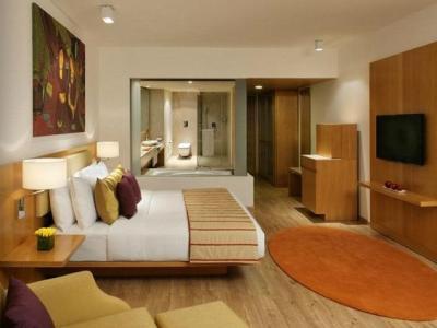 Hotel Radisson Blu Plaza T