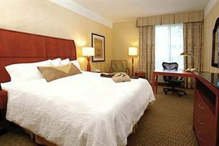 Hotel Hilton Garden Inn Albuquerque/journal Center