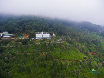 Hotel Misty Mountain Resort