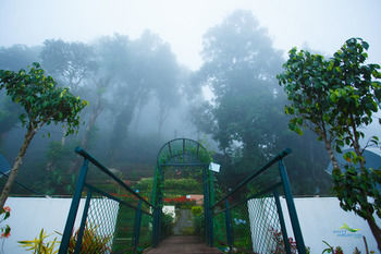 Hotel Misty Mountain Resort