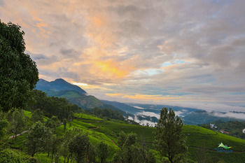 Hotel Misty Mountain Resort