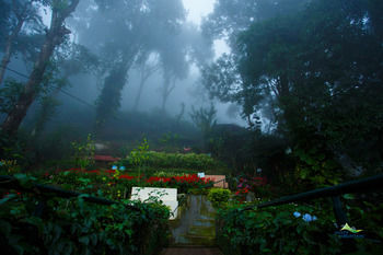 Hotel Misty Mountain Resort