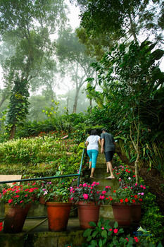 Hotel Misty Mountain Resort