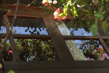 Yellow House - Hostel