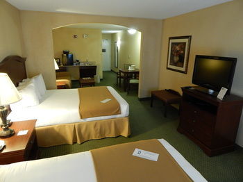 Holiday Inn Express Hotel & Suites Vestal
