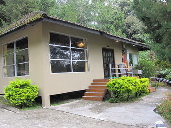 Posada J Residence