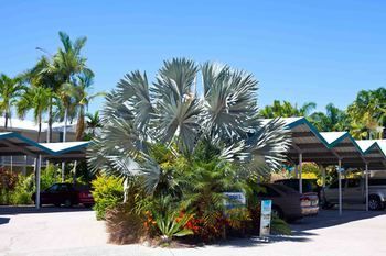 Hotel Trinity Beach Pacific Resort