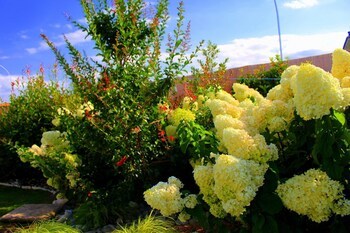 Bed&breakfast Eremes