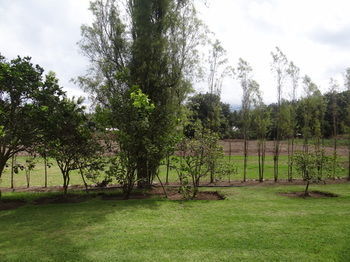 Hostal Quinta Carlota
