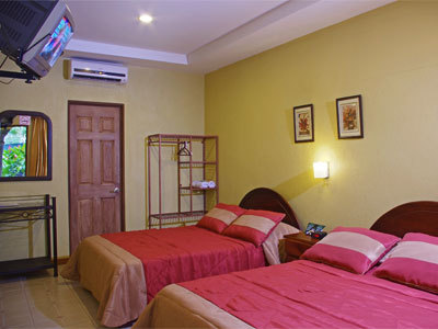 Hotel Robledal