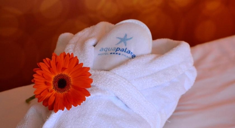 Aquapalace Hotel Prague
