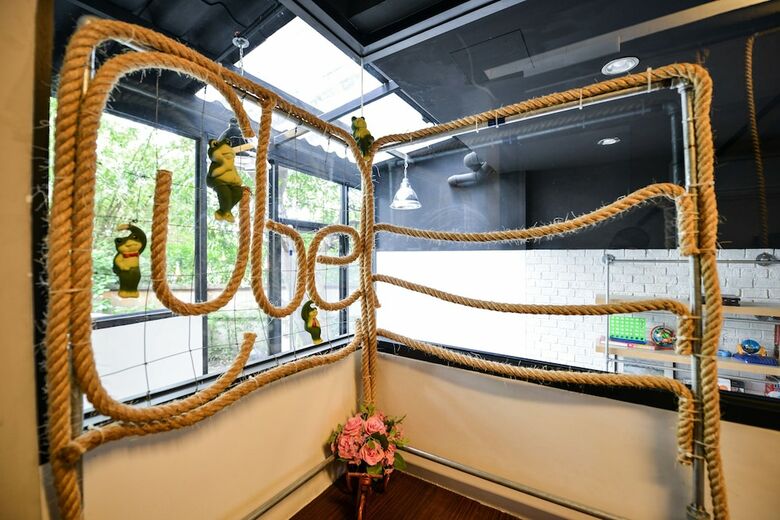 The Cube Hostel