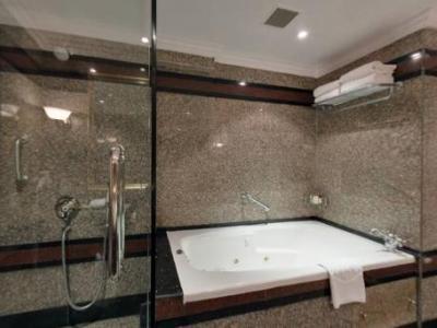 Hotel Taj Deccan