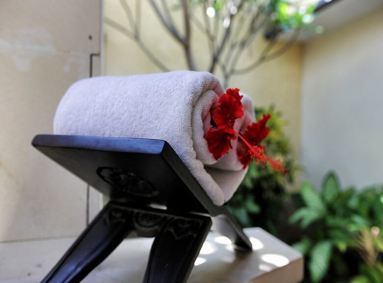Hotel The Sanyas Suite