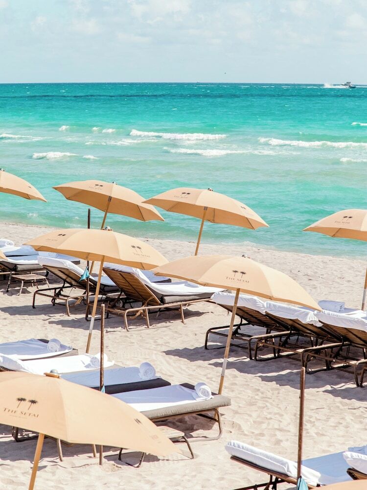 Hotel The Setai South Beach