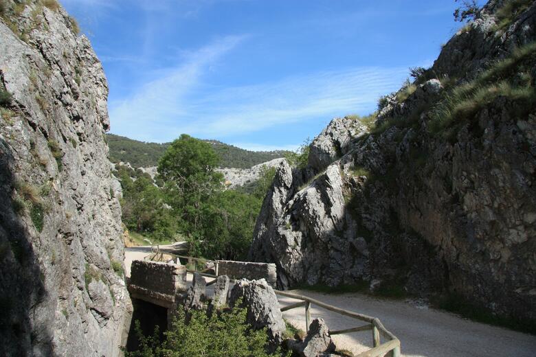 Hotel Monta�a De Cazorla