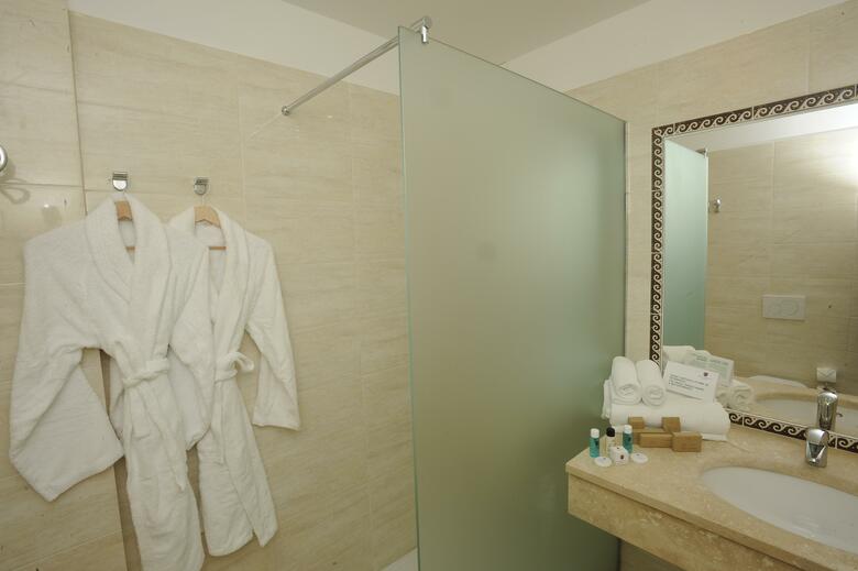 Hotel Executive