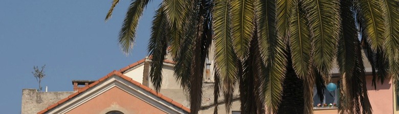 Hotel Garden