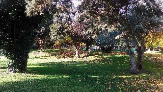 Hotel Los Olivos