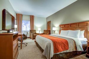 Hotel Comfort Inn