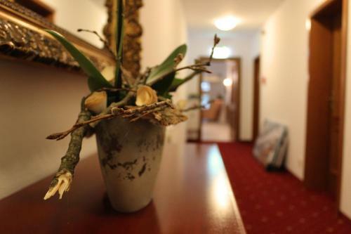 Parkhotel Forsthaus