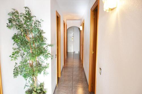 Apartamento La Puntera
