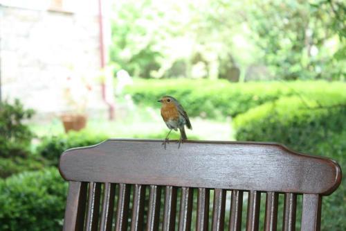 Bed & Breakfast La Suite Del Eume