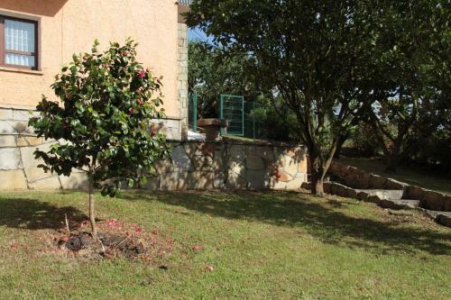 Sierra Pulide Apartmentos