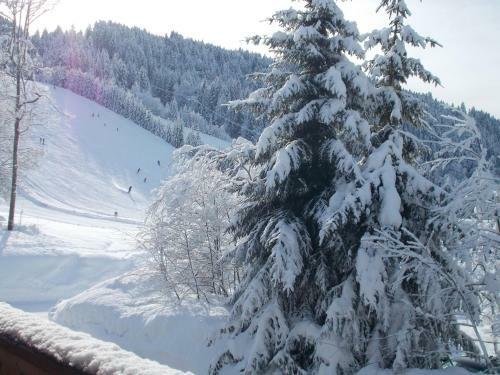 Chalet Jonquille