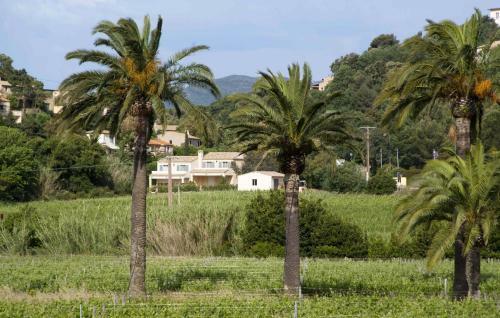 Villas Du Domaine De La Madrague