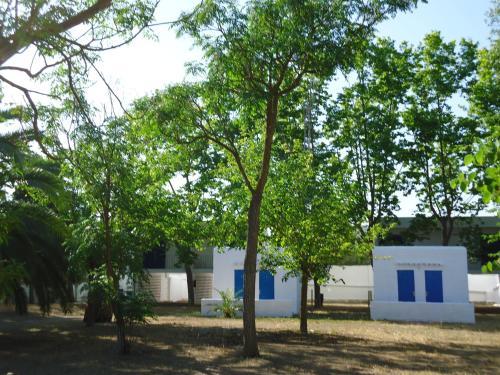 Camping San Antonio