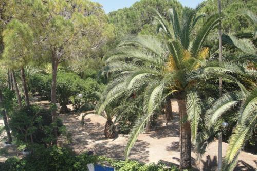 Camping San Antonio
