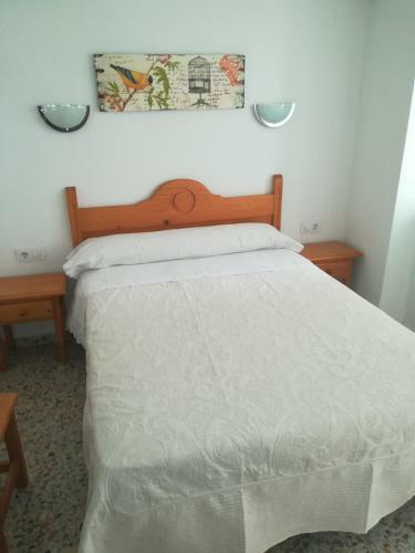 Hostal Paco Pepe