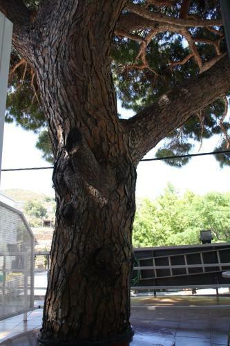 Hotel La Masia