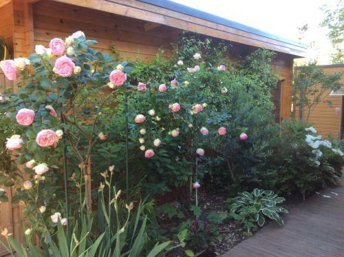 Bed & Breakfast Les Chambres D�oriane