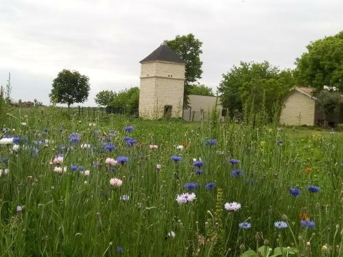 Bed & Breakfast Chambres D'h�tes Ch�teau Pierre De Montignac