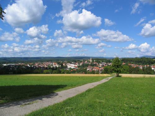 M�hringers Schwarzwald Hotel