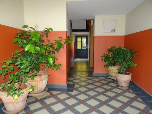 Apartamento Ferienwohnung Bonn Sternenburgstra�e 51