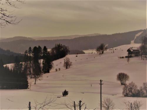 Hotel Feriengasthof L�wen