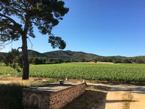 Bastide Des Anglades